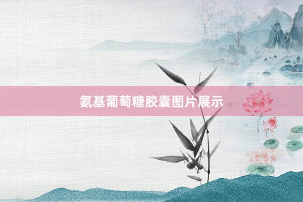 氨基葡萄糖胶囊图片展示