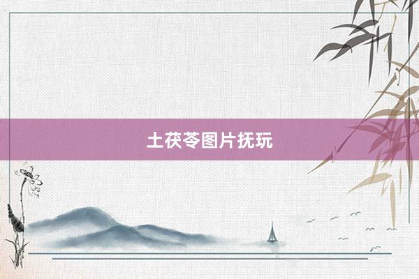 土茯苓图片抚玩